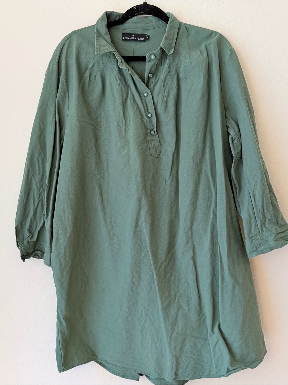 Pomander Place Sage Green Button-Front Tunic